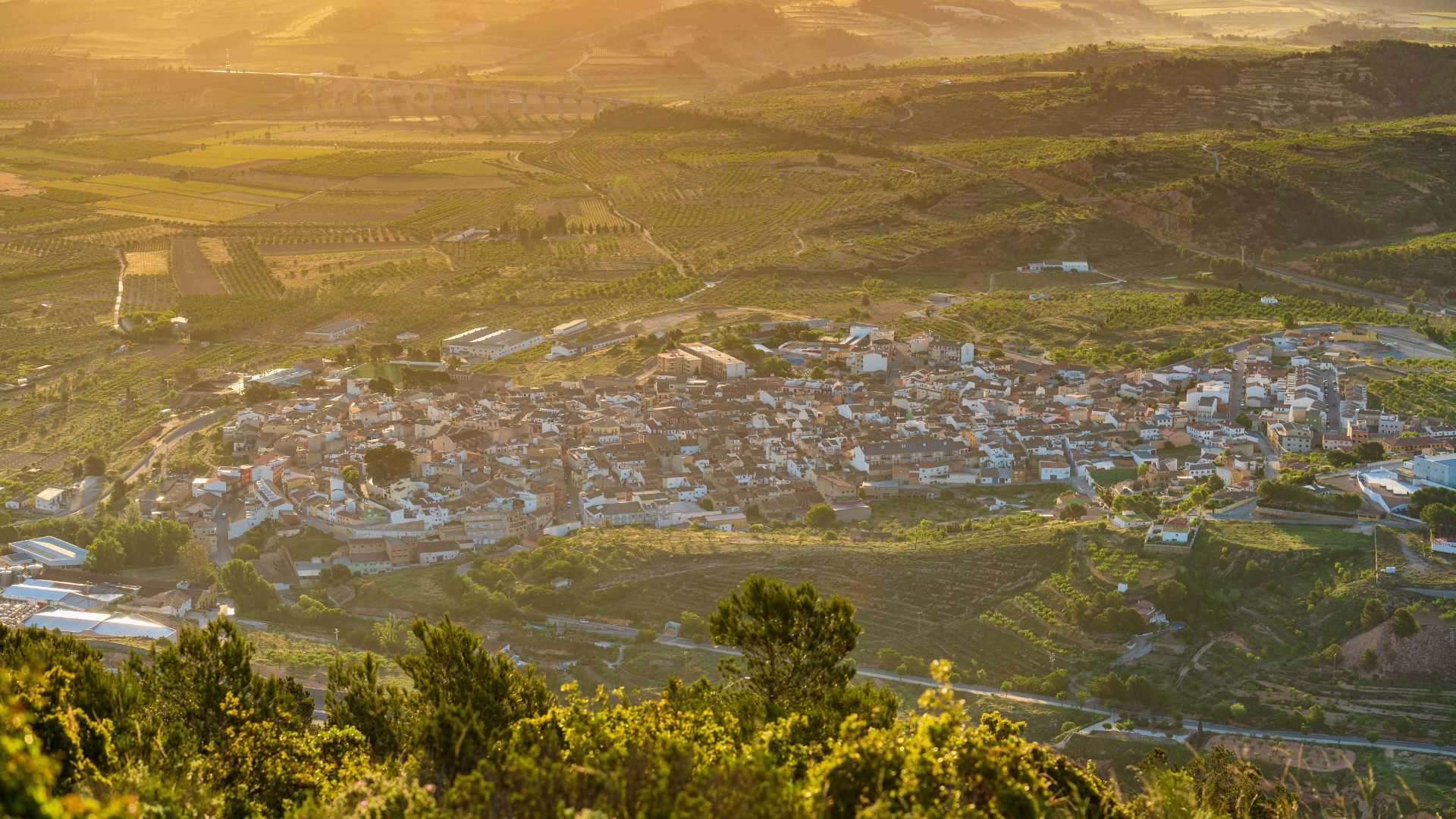 Vista paisajística de La Font de la Figuera, origen de Coni Cheesecake